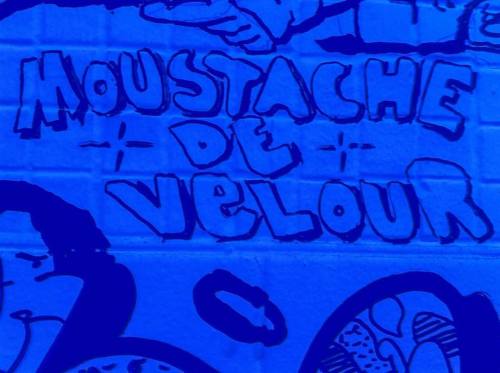 Moustache de velour #art #toilets #canada #montreal #wall #mustache #moustache #graffiti #graff #vel