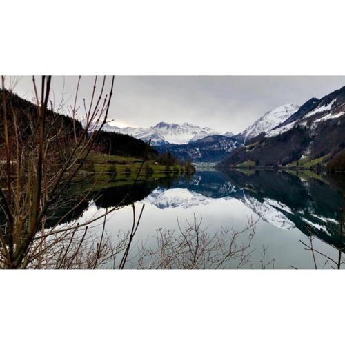 Winter reflections #lungern #lungernsee #obwalden #switzerland #reflection #iphoneography #16x9 #nof