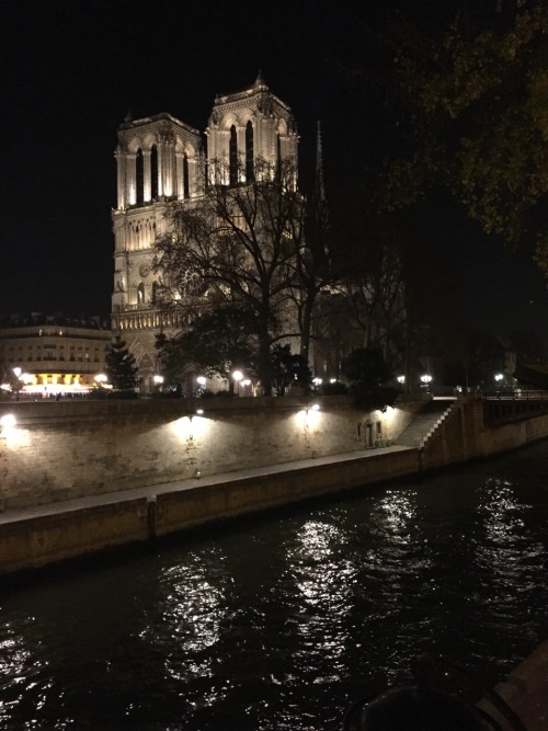 Cathedral Notre Dame, Paris 2016