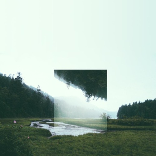 Reverse Squares in Nature by Victoria Siemer.(via Reverse Squares in Nature – Fubiz™)