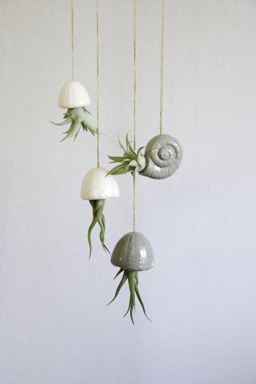 Hanging Decoration Air Planter Jellyfishby this Star Seller on Etsy :  Here 