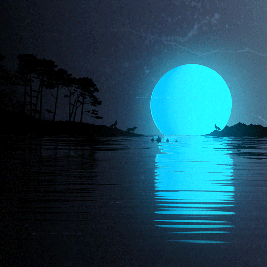 THE MOON SIGNS 