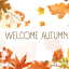 leaves-and-memories