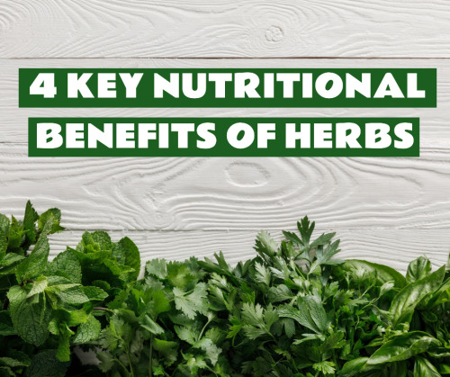 4 Key Nutritional Benefits Of Herbs youtu.be/pY9ZO4wGteY