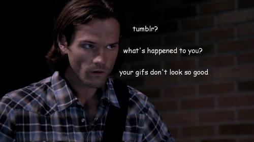 livebloggingmydescentintomadness:  masterosricchau:  When everyone logged onto Tumblr today.  