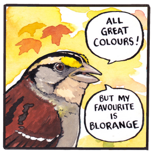 seamusmclame:falseknees:Favourite Colour (2020) I meant to put this on my last reblog of it but I fo