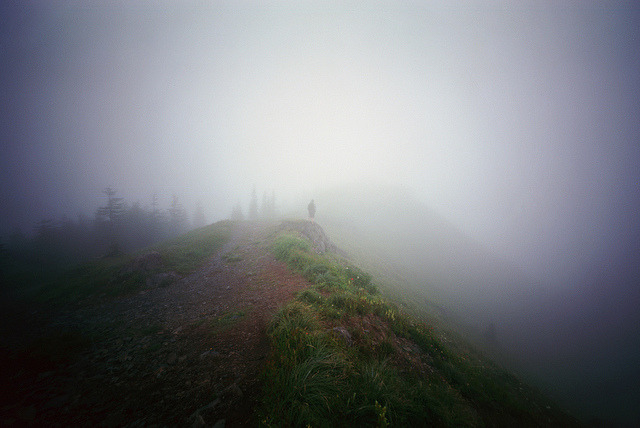 sophisticated-simplicities: you laugh like i’ll be there to hold you always by