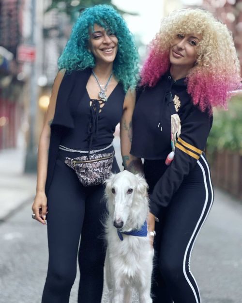 Ran into the adorable Tolstoy yesterday in nyc  @emilchynn * * * * * #bighairgirls #tolstoy #borzoi 