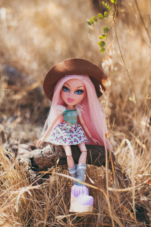 doll photography