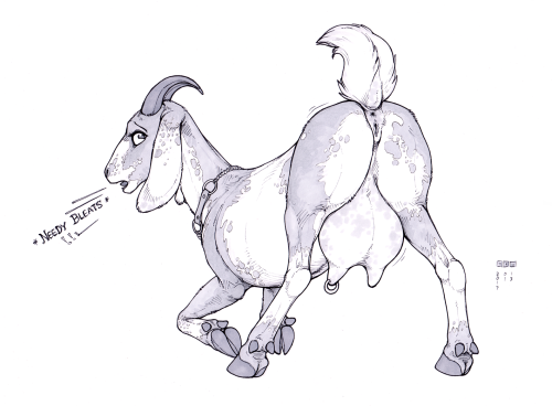 Porn Chamomile, my goat OC who i hadn’t drawn photos