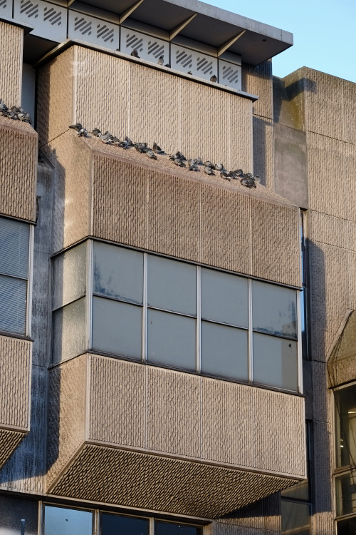 scavengedluxury: Brutalist pigeon roost. Victoria Centre, Nottingham. January 2015.
