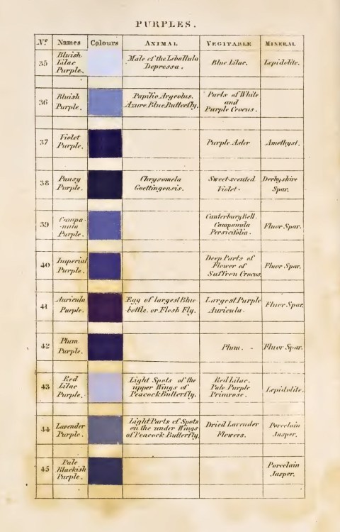 nobrashfestivity:Patrick Syme, Charts for Werner’s Nomenclature of Colours: Adapted to Zoology, Bota
