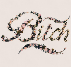 escapekit:Better With Flowers Brazilian illustrator and designer Antonio Rodrigues Jr has spelled out several offensive words with a custom typeface made of artificial flowers. Check out the the process on his Behance page. 