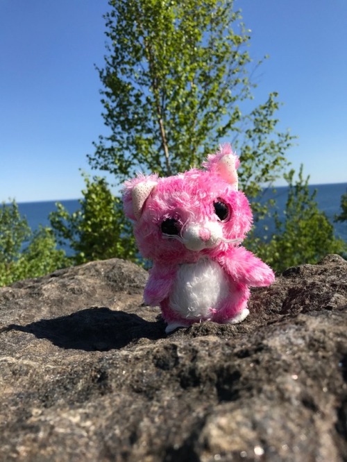 sophias-ageplay: This scenic outlook was so pretty! Even Tiktak needed to pose for a picture.
