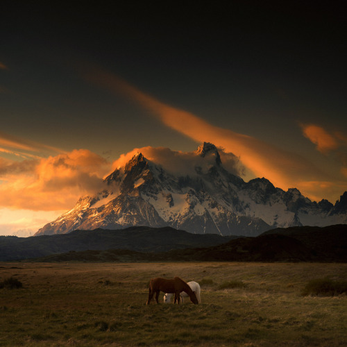 ponderation:Chile Cheese To Go by Andy Lee