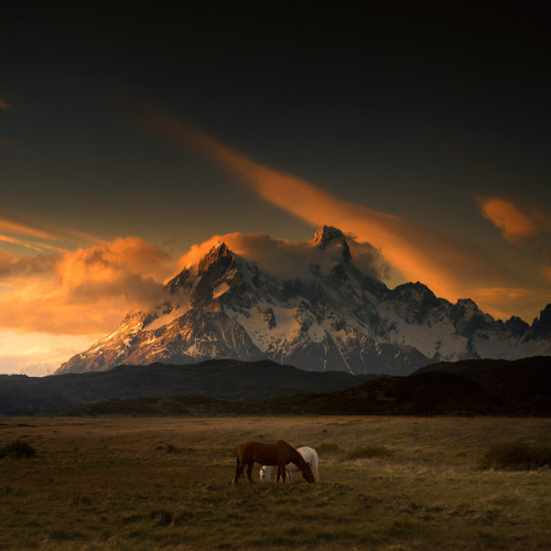 ponderation:Chile Cheese To Go by Andy Lee