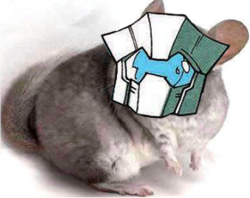 A Tailgate-chinchilla my friend photoshopped