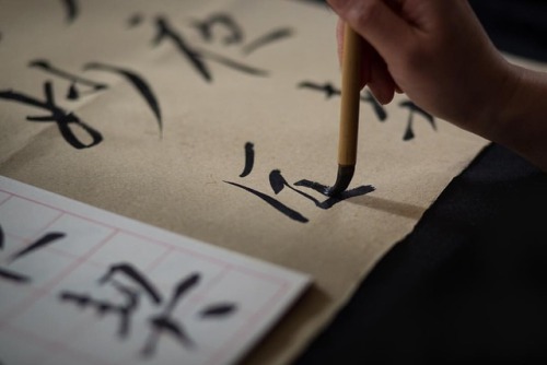 Beautiful calligraphy of Taki Kodaira @takikodaira. 小平多起さんの書。美しい字というのはいいものですね。#calligraphy #takikoda