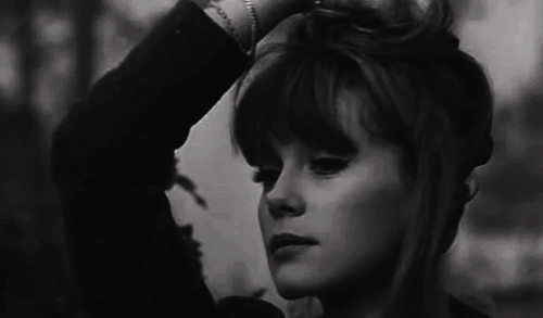 violentwavesofemotion:  Françoise Dorléac in La Peau Douce (The Soft Skin) dir.
