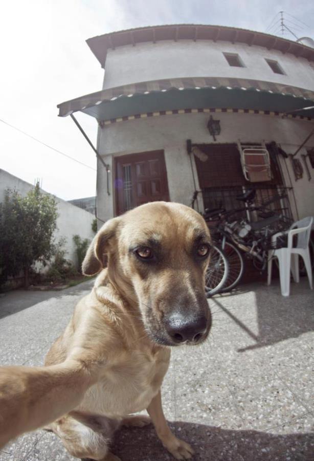 vivalacaca:  pal feis 