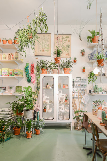 ironperennial:Atelier Rue Verte