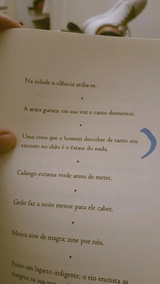 Uma Coisa Que O Homem Descobre De Tanto Seu Encosto No Chão é O êxtase Do Nada.