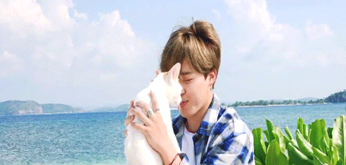 Who Is Making Jimin That Happy?