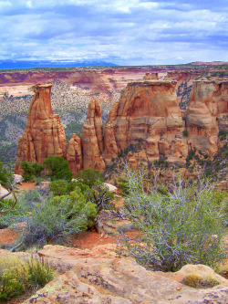 rivermusic:  Sandstone Pinnacles Colorado National Monument Colorado, USA photo by rivermusic, 2009 :) 