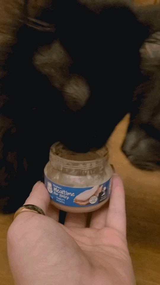 Hey, If Your Cat Happens To Love The Churu Squeezy Cat Treats, Or Similar Equivalent, I'm Here To Tell