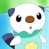 ap-pokemon:  #501 Oshawott -  Oshawott carries a pale yellow seashell called a “scalchop" on its belly. Oshawott fights using the scalchop by detaching it for use as a blade. The scalchop is made from the same element as claws and it can
