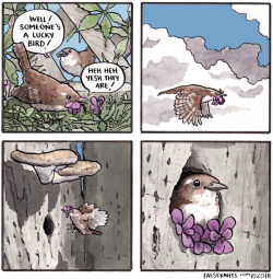 falseknees:Lucky bird