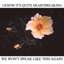 live-reckless-and-relentless:  Modern baseball - I Think You Were My Profile Picture Once