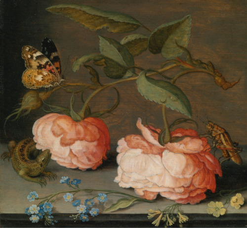 Balthasar van der Ast - Roses with a butterfly and a grasshopper, together with forget-me-nots, prim