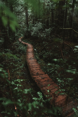 brianstowell: Olympic National Park coastal