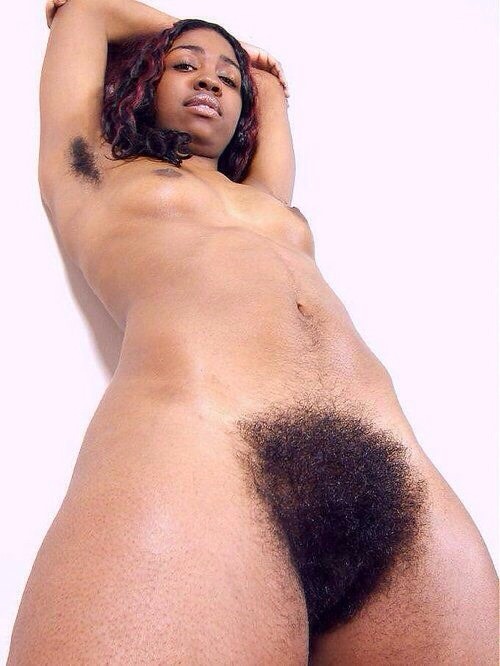 hairycommunity:  Where have you gone harley we miss you 