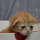killerquetiapine:I just want to be loved as intensely as I love