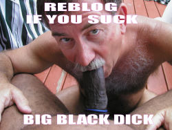 2bornot2b1:  I do suck BLACK COCK,like a good sissy fagFat sissy fag  Well yes I do!