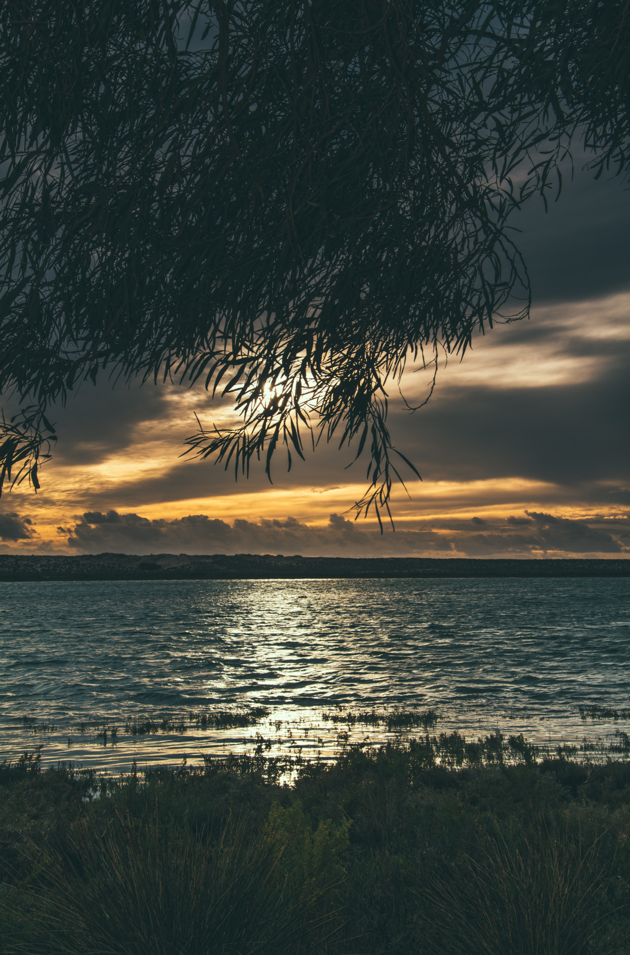 pedromgabriel:  - Mystical -