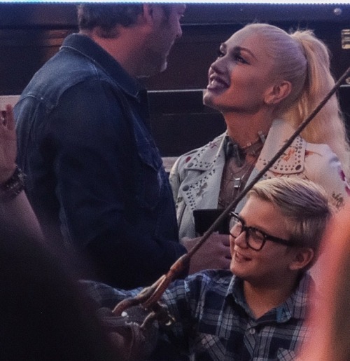 shefani