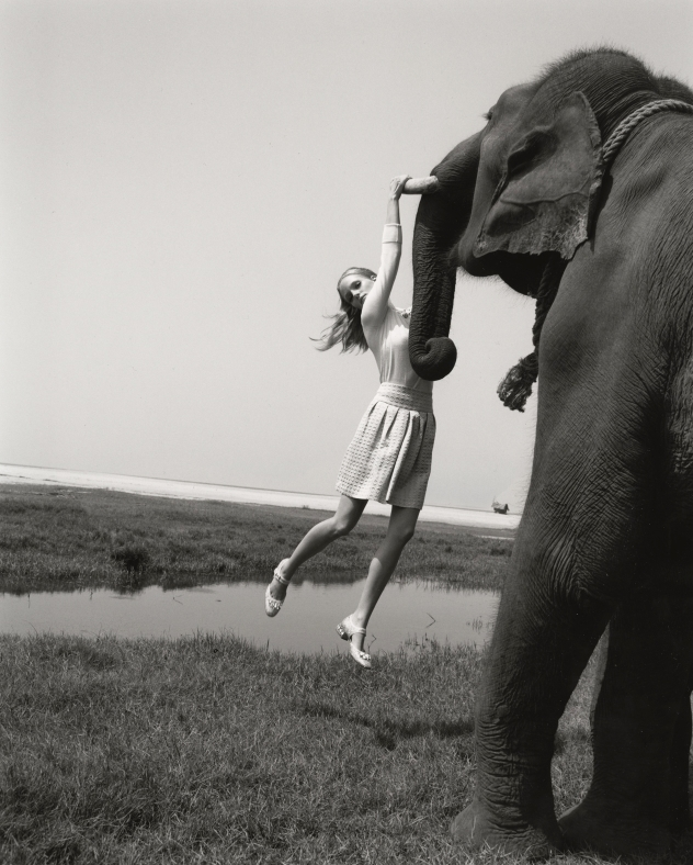 mpdrolet:  Elisabeth Toll