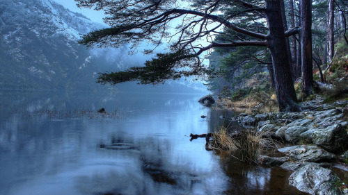 Glendalough, Co. Wicklow by Niall Bourke