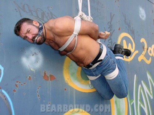 thesodomylobby:BearBound #