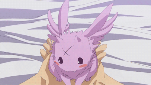 LITTLEFOX