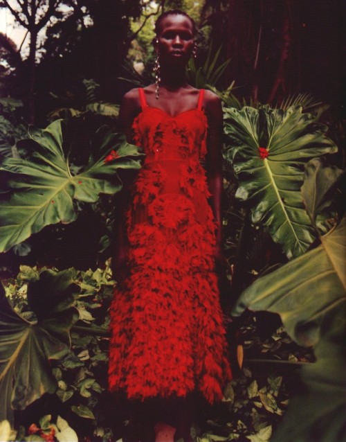 Shanelle Nyasiase photographed by Jamie Hawkesworth for Alexander McQueen Spring/Summer 2018