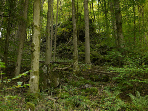 Hike in Autumn Time - the “Rockenburger Urwald Pfad” by Edmund Michels