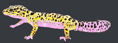 reptileramen:got bored and made some old Internet glitter gifs(I don’t own any of the stock images j