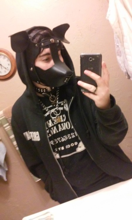 puppyspike: Cmon, tell me this lil pibble isn’t cute. I absolutely looove this hood. Spike fin
