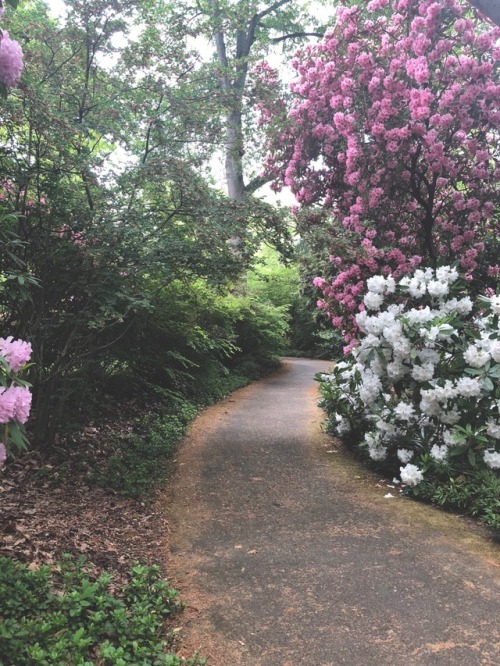 university of washington