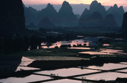 20aliens:  CHINA. Gaotian. Guilin. 1979. The morning glow in the region of abundance. Around April, when the rice must be transplanted in the fields, the villagers get up before dawn and lead the water buffalo to the fields. By Hiroji Kubota