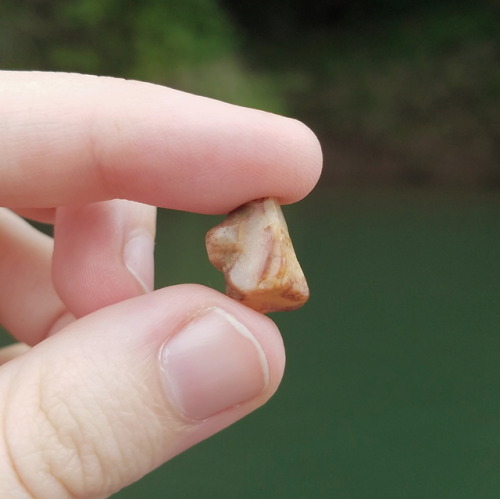 muddyandfoxgloved:Lately I’ve been spending a lot of time picking out stones by a nearby creek. Here